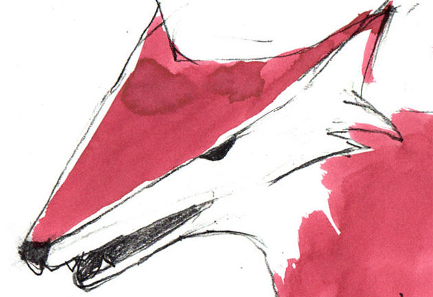 Lisica_petra_zlonoga_630