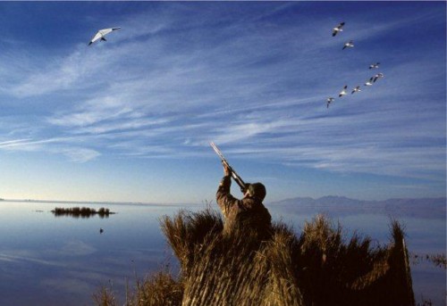 Goran Martin Stimac_Lovac_500