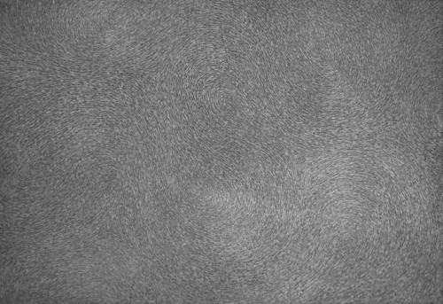 Predrag Todorovic_Nakupine_500