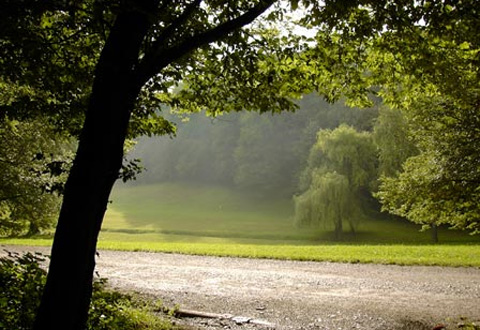 maksimir_480