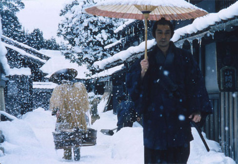 skrivena_ostrica_480