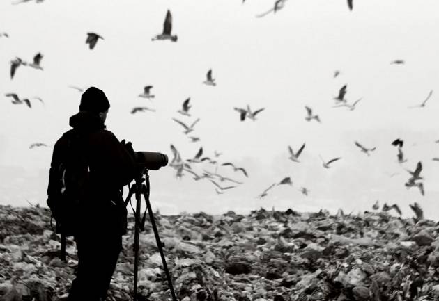 marina_kelava_galebarenje_630