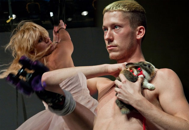 ganz_novi_festival_630