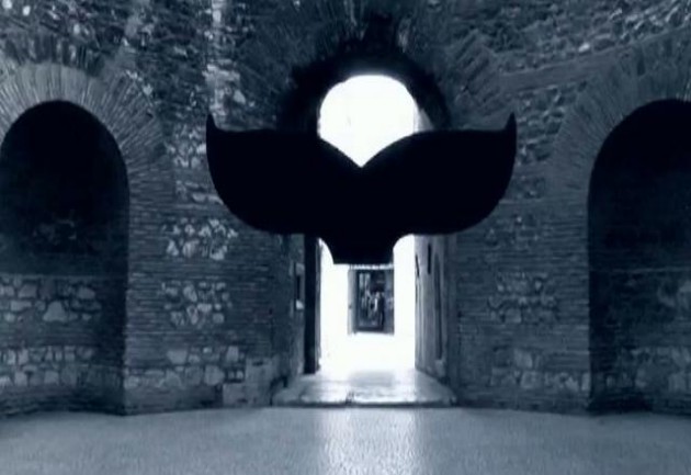 split-film-fest2012_630