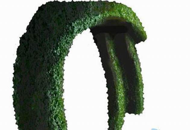 petar_popijac_ples_mahovine_630