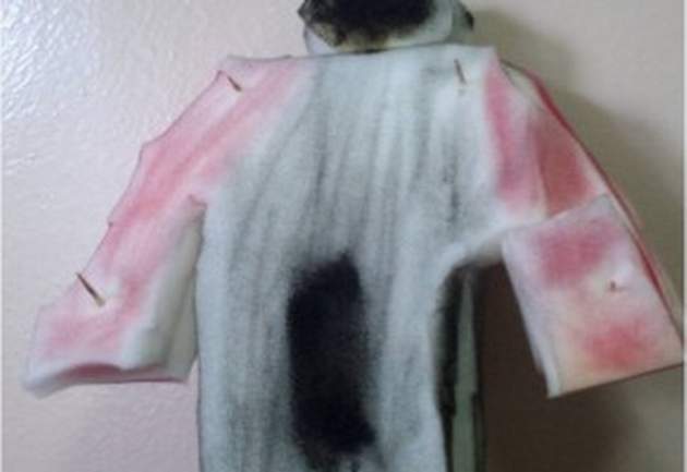 razum_i_osjecaji_630