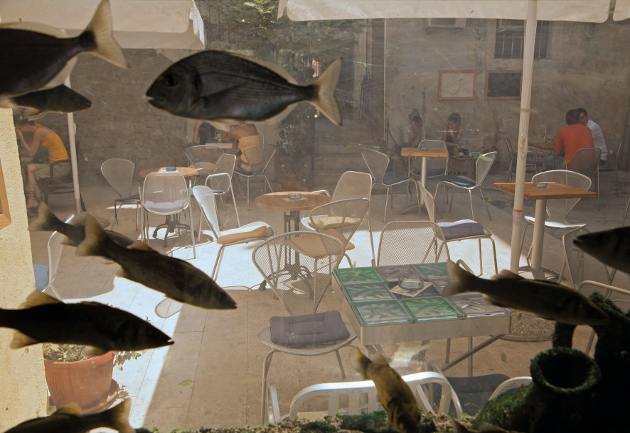 Boris Cvjetanovic_priroda_i_grad_630