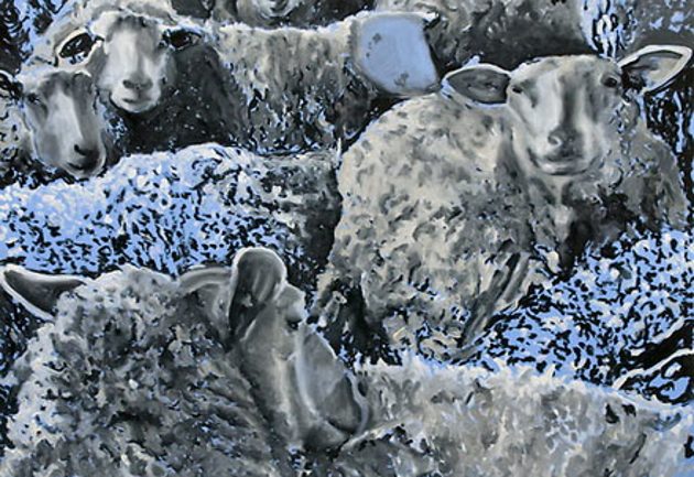 bojan_sumonja_ovce_630