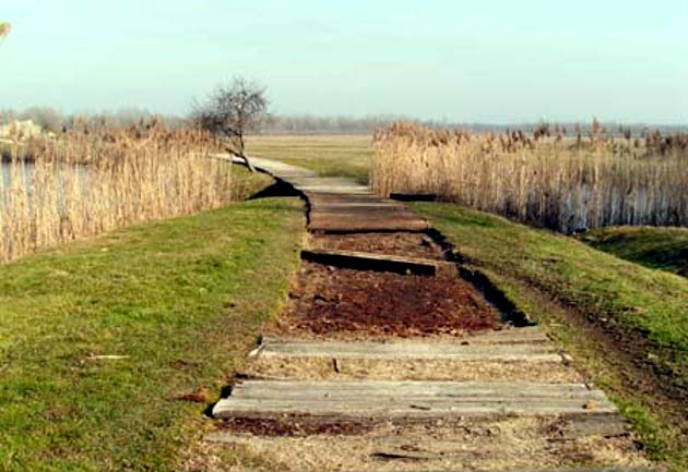 jasenovac_put_630