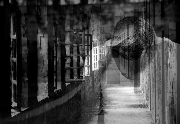 vision_in_the_shadow_630