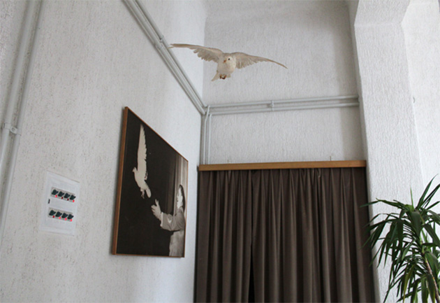 moje_tvoje_utopijsko_630