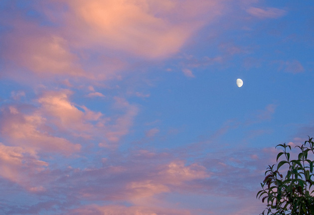 tim_fields_solstice_630