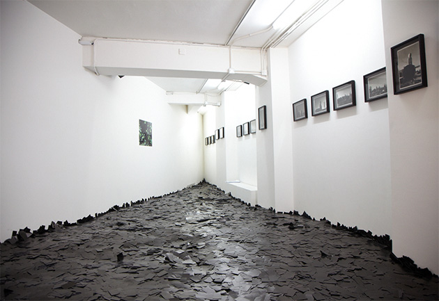 para_site_630
