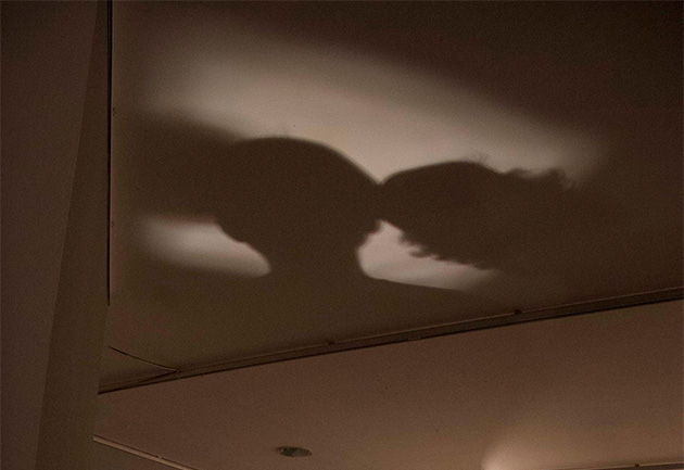 odsev_nezavednega_630