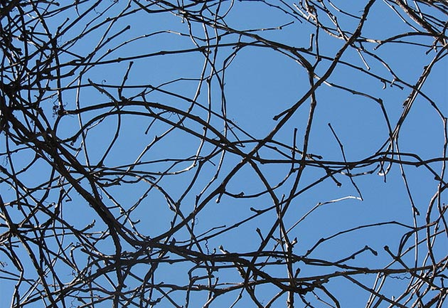 clothpaperstring_630