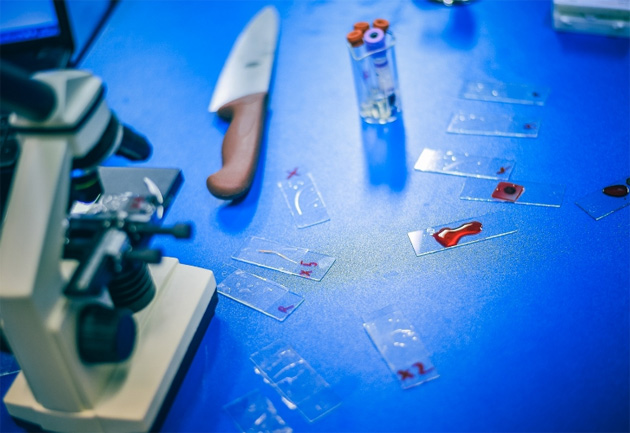 touchMe_radionice_630