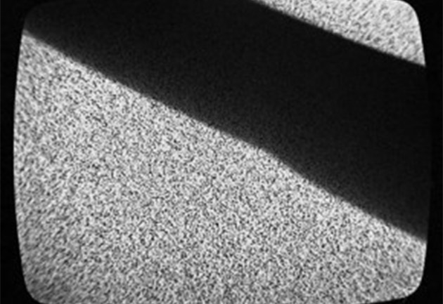 video_tv_anticipacija_630