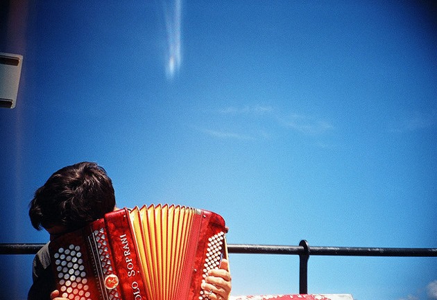 harmonika_bucklewis_630