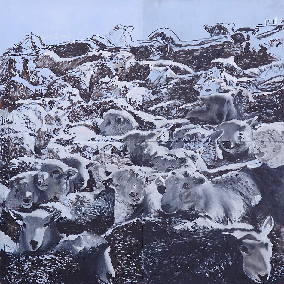 bojan_sumonja_ovce_900