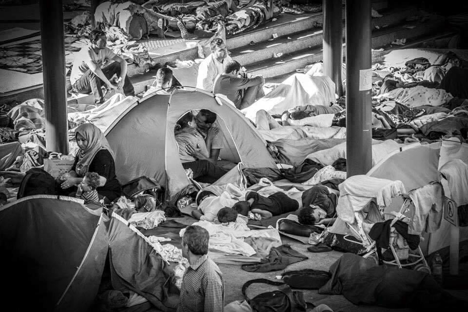 izbjeglice_ljubav_budimpesta_630