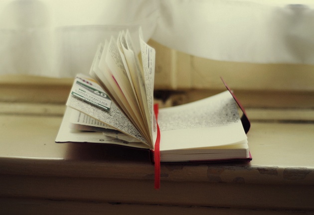 knjiga_silviaSala_630