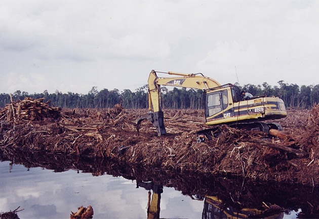 rainforest_action_network_630