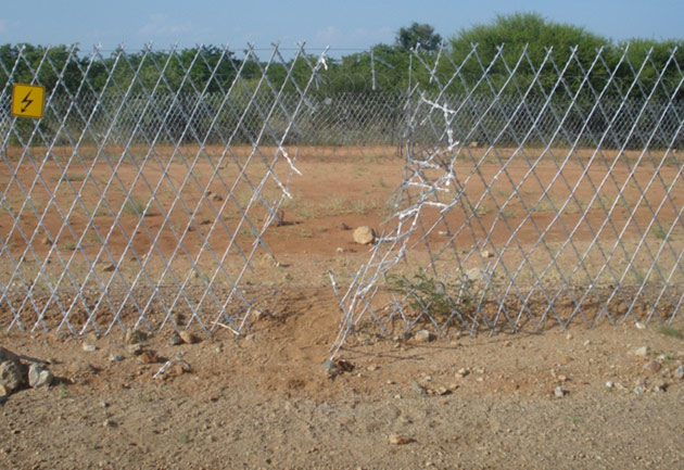 Thenjiwe_Nkosi_Loophole_630