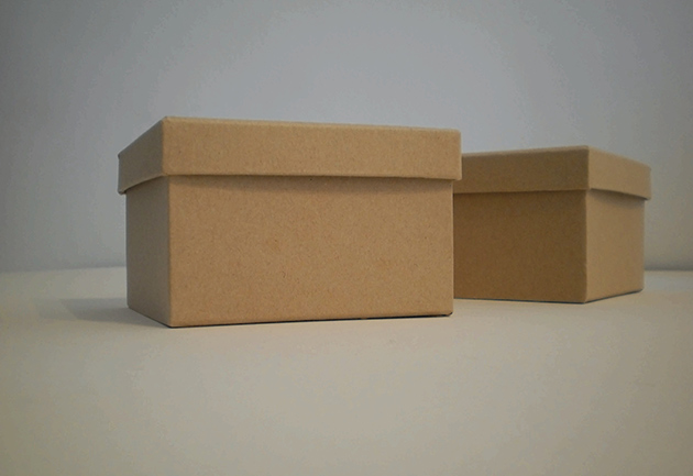 jelena_kovacevic_promemorija_630