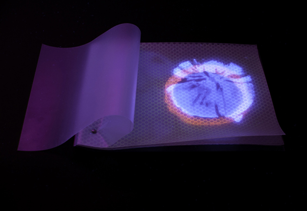 celestina_vicevic_knjiga_cvijet_miris_630