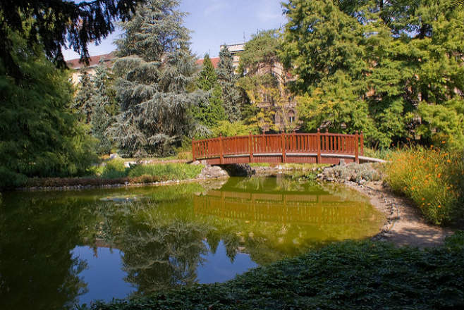 Davor Pihac_Botanicki