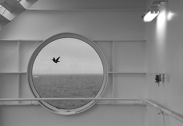 Petra-Pocanic_Ferryboat_630