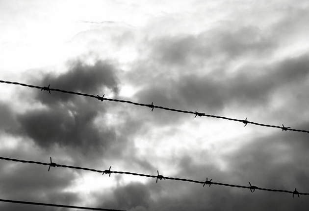 Raffaella_flickr_630