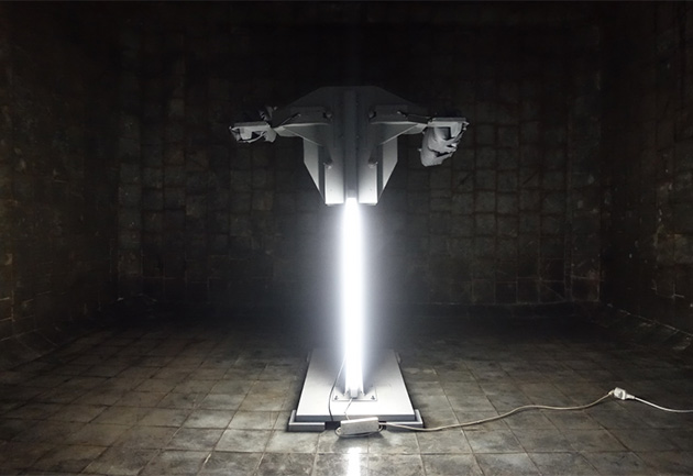 Evolucija_percepcije_1