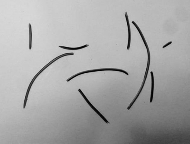 marko_tadic_sintart_630