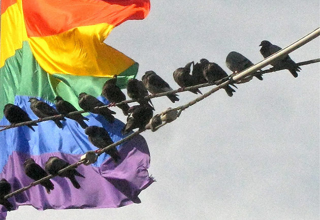 torbakhopper_-more_than_one_valentine_630