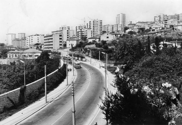 turnic_630
