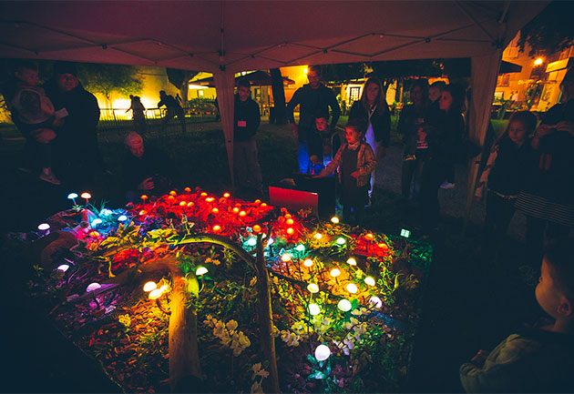 Magic-Garden_rojc_630