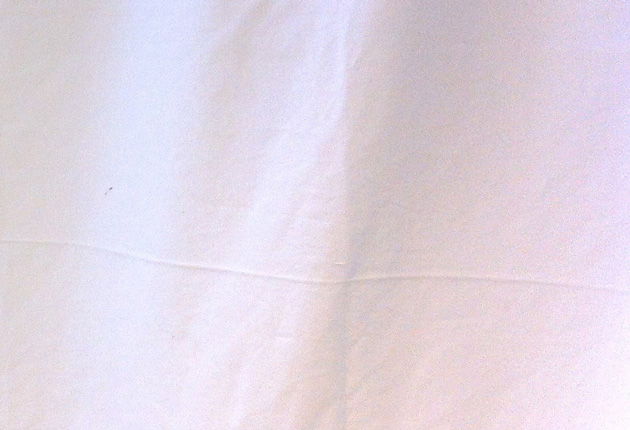 radoja_cvjetkovic_WEB