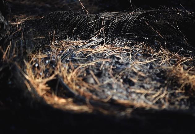 Ljubavnice_dva_stupnja_630