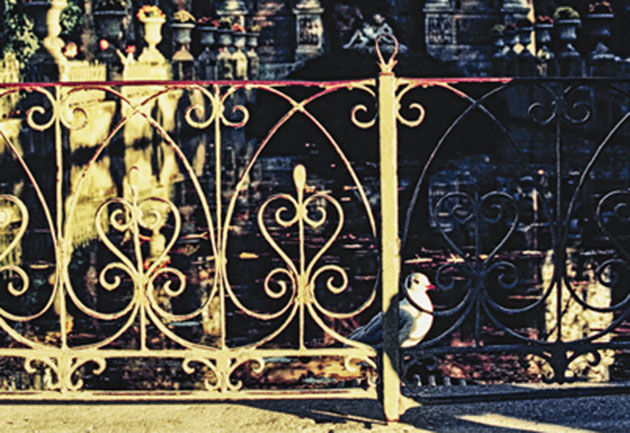 tomanovic_630