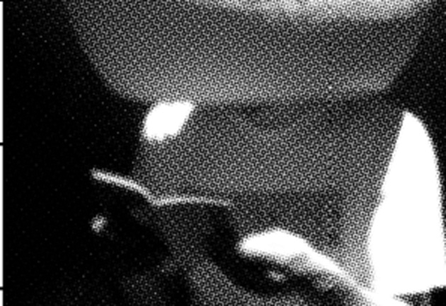 pelicaric_630