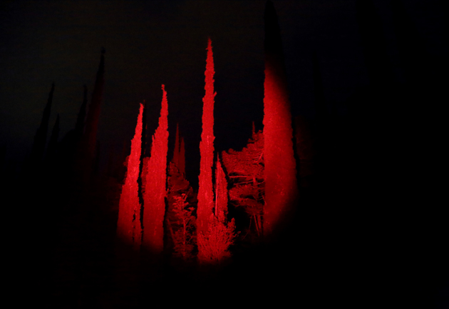 luko_piplica_uzasi_630