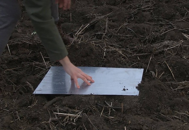 viktorija_krizanovic_630